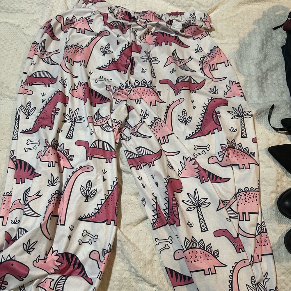 Dinosaur Print Pajama Pants